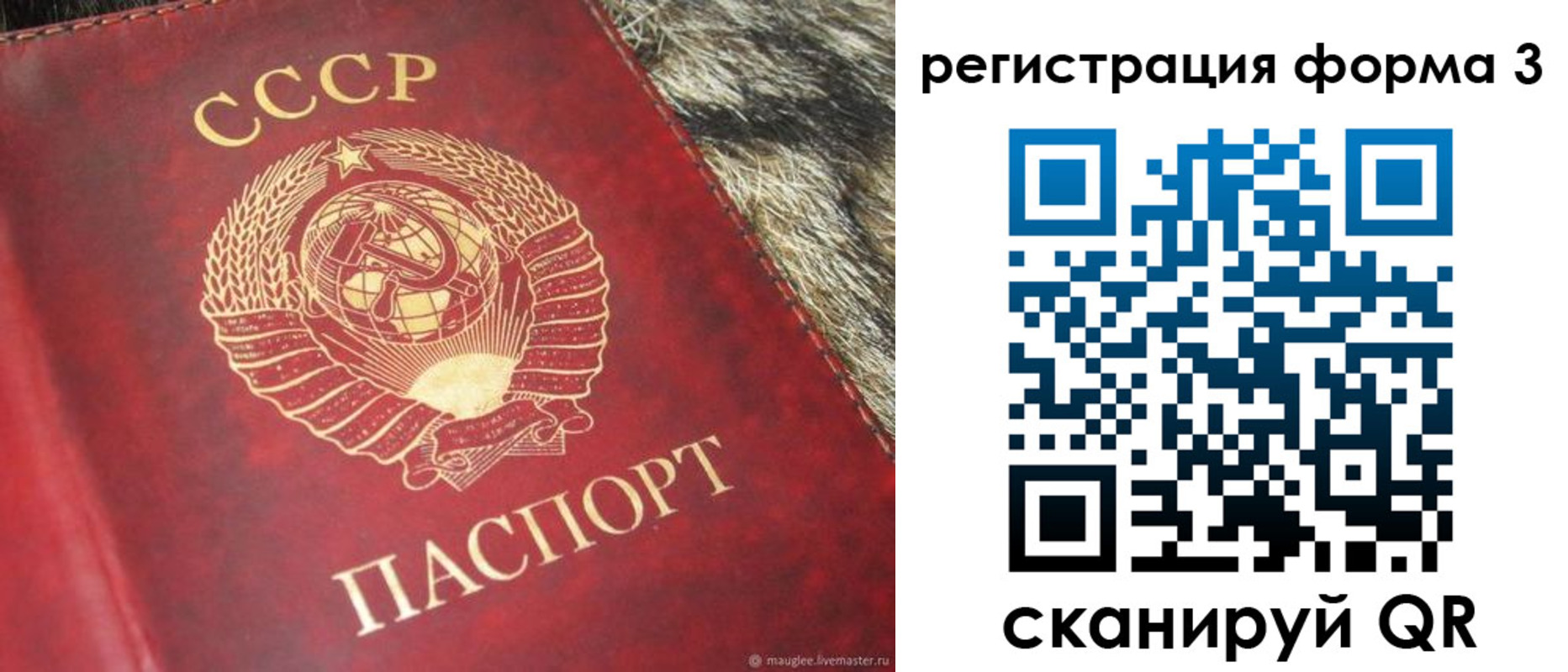 прописка регистрация в Шарье